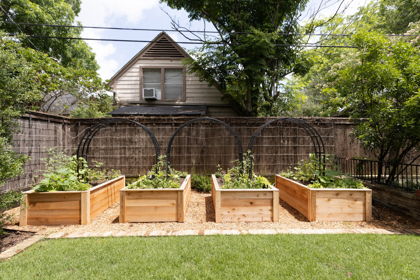 Premium Raised Bed Garden Planter Box - solid wood, 8'x2'x1'