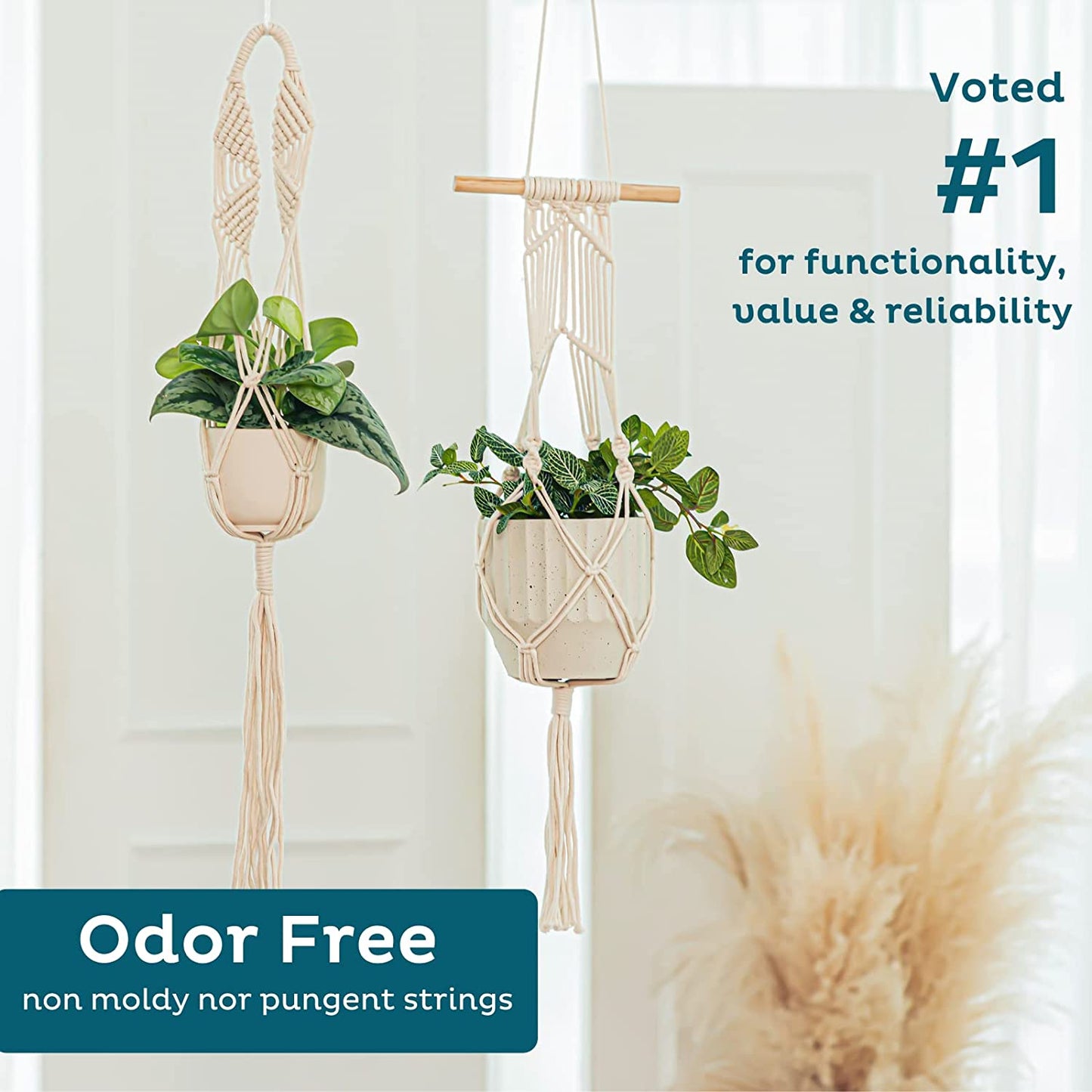 6-Pack Macrame Plant Hanger - 12 Ceiling Hooks - Plant Hanger Indoor - Hanging Plant Holder - Hanging Planters for Indoor Plants - Boho Plant Hanger - Plant Hangers Indoor (Cream)